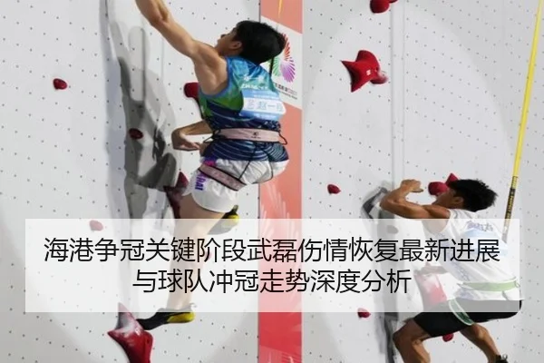 海港争冠关键阶段武磊伤情恢复最新进展与球队冲冠走势深度分析
